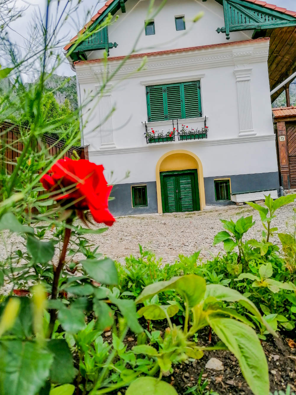 Cocut Raluca_Rimetea